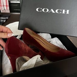Coach, 7.5 W, Cherry Color, 'SKYLAR VELVET'